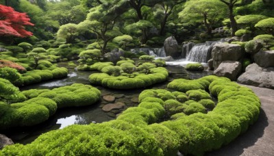 outdoors,day,water,tree,no humans,grass,nature,scenery,forest,rock,river,waterfall,landscape,moss,stream,bush,green theme