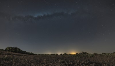 outdoors,sky,cloud,tree,no humans,night,grass,star (sky),nature,night sky,scenery,forest,starry sky,sunset,landscape,star (symbol),milky way