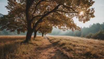 outdoors,sky,day,cloud,tree,blue sky,no humans,sunlight,grass,nature,scenery,forest,mountain,road,field,landscape,path,cloudy sky