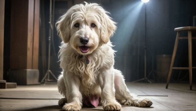 HQ,solo,open mouth,brown eyes,jewelry,sitting,full body,tongue,indoors,tongue out,black eyes,collar,no humans,animal,chair,brooch,gem,dog,light rays,realistic,animal focus,looking at viewer,signature,blurry,pokemon (creature),fangs,pendant,tiles,light,tile floor,stool,animal collar,spotlight,ceiling light