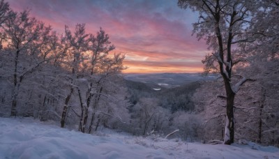 outdoors,sky,cloud,tree,no humans,cloudy sky,nature,scenery,snow,forest,sunset,mountain,winter,bare tree,landscape,sunrise,bird,horizon,gradient sky,pine tree