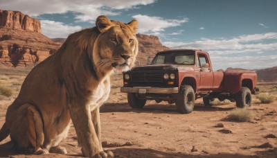 outdoors,sky,day,cloud,blue sky,no humans,animal,grass,ground vehicle,scenery,motor vehicle,mountain,realistic,car,vehicle focus,tiger,truck,looking at viewer,cloudy sky,desert