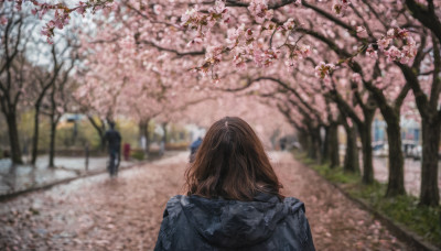 1girl, solo, long hair, brown hair, outdoors, solo focus, day, hood, from behind, blurry, tree, depth of field, blurry background, hood down, cherry blossoms, realistic, facing away, road