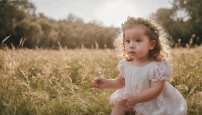 1girl,solo,blue eyes,brown hair,dress,flower,short sleeves,outdoors,parted lips,pussy,day,puffy sleeves,white dress,blurry,puffy short sleeves,pubic hair,loli,no panties,blurry background,female pubic hair,grass,realistic,head wreath,field,long hair,open mouth,hair ornament,sitting,lips,aged down,child,female child