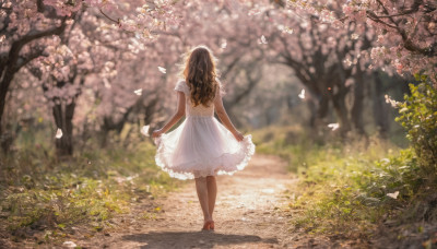 1girl, solo, long hair, brown hair, dress, flower, outdoors, from behind, white dress, blurry, tree, petals, depth of field, bug, cherry blossoms, butterfly, walking, road