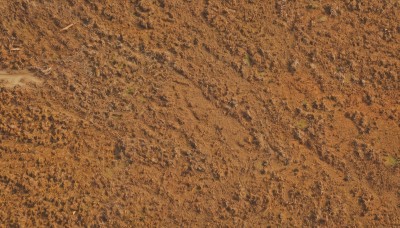 solo,multiple girls,monochrome,outdoors,tree,no humans,from above,traditional media,nature,scenery,sepia,brown theme,orange theme,pokemon (creature),ground vehicle,motor vehicle,road,field,yellow theme