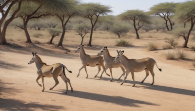 outdoors,sky,day,tree,blue sky,no humans,shadow,animal,grass,nature,scenery,walking,running,horse,desert,deer,signature,from side,realistic,animal focus,bare tree