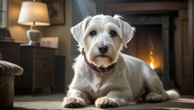 HQ,indoors,blurry,black eyes,collar,no humans,animal,table,fire,dog,realistic,lamp,candle,animal focus,red collar,picture frame,painting (object),picture (object),fireplace,solo,looking at viewer,brown eyes,full body,lying,signature,depth of field,blurry background,door,animal collar,flame