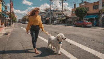 1girl, long hair, brown hair, long sleeves, outdoors, sky, day, belt, pants, cloud, sweater, tree, blue sky, shadow, sandals, denim, ground vehicle, building, motor vehicle, walking, dog, jeans, city, leash, car, road, power lines, street, utility pole, crosswalk