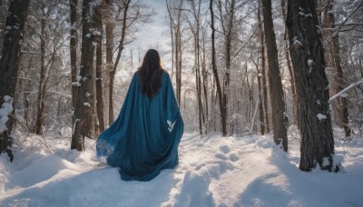 1girl,solo,long hair,brown hair,black hair,long sleeves,dress,standing,weapon,outdoors,day,sword,from behind,cape,tree,nature,scenery,cloak,snow,forest,snowing,facing away,winter,blue cape,bare tree,footprints,bug,butterfly,wide shot