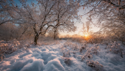 solo, outdoors, sky, cloud, tree, scenery, snow, sunset, mountain, sun, winter, bare tree, landscape