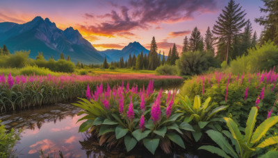 flower, outdoors, sky, cloud, water, tree, no humans, cloudy sky, grass, plant, nature, scenery, forest, reflection, sunset, mountain, landscape, mountainous horizon