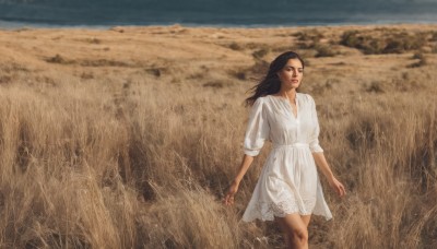 1girl,solo,long hair,brown hair,black hair,dress,brown eyes,closed mouth,standing,outdoors,sky,day,signature,white dress,lips,looking to the side,wind,scenery,walking,realistic,field,jewelry,earrings,dark skin,dark-skinned female,dirty,desert