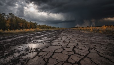 outdoors,sky,day,cloud,water,tree,no humans,moon,cloudy sky,grass,nature,scenery,forest,smoke,road,landscape,path,sunlight