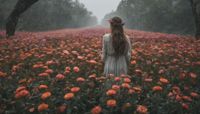 1girl, solo, long hair, brown hair, long sleeves, dress, standing, flower, outdoors, from behind, white dress, tree, red flower, nature, scenery, forest, rain, facing away, field, flower field, grey sky