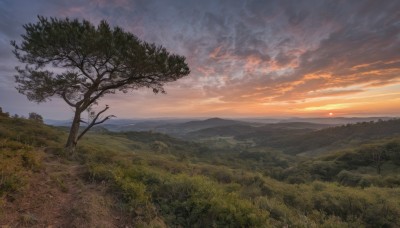 outdoors,sky,cloud,tree,no humans,sunlight,cloudy sky,grass,nature,scenery,forest,sunset,mountain,sun,horizon,field,landscape,mountainous horizon,hill