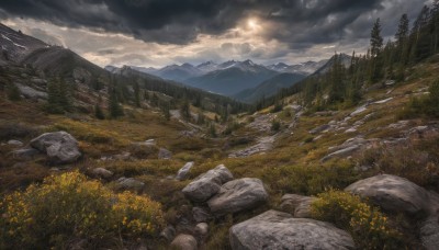 flower,outdoors,sky,day,cloud,tree,no humans,sunlight,cloudy sky,grass,nature,scenery,forest,rock,mountain,sun,field,river,landscape,mountainous horizon