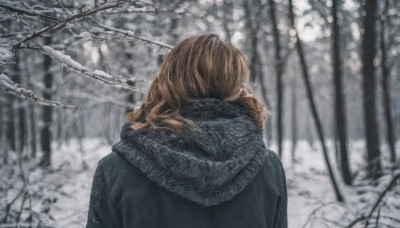 1girl, solo, long hair, brown hair, upper body, outdoors, from behind, scarf, blurry, tree, coat, depth of field, blurry background, nature, snow, forest, snowing, winter, bare tree