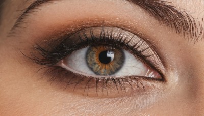 solo,looking at viewer,1boy,brown eyes,male focus,eyelashes,close-up,1other,reflection,realistic,eye focus,black hair,yellow eyes,2boys