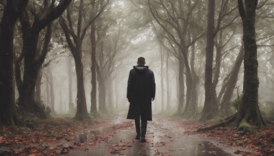 solo,short hair,black hair,long sleeves,1boy,standing,male focus,outdoors,day,pants,from behind,tree,coat,leaf,black pants,nature,scenery,forest,walking,black coat,facing away,autumn leaves,wide shot,hat,boots,black footwear,top hat,arms at sides,autumn