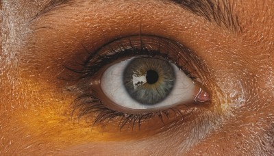 solo,looking at viewer,1boy,eyelashes,umbrella,close-up,1other,reflection,realistic,eye focus,black hair,yellow eyes,white shirt,male focus,multiple boys,2boys,animal,cat,orange theme