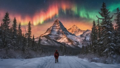 solo,1boy,hat,standing,jacket,male focus,boots,outdoors,sky,hood,bag,from behind,tree,coat,fur trim,night,backpack,fire,star (sky),nature,night sky,scenery,snow,1other,forest,starry sky,snowing,mountain,winter clothes,wide shot,winter,mountainous horizon,ambiguous gender,pine tree,aurora,facing away