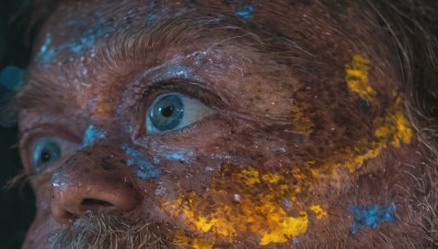 solo,looking at viewer,blue eyes,simple background,closed mouth,flower,no humans,animal,traditional media,black background,portrait,close-up,realistic,animal focus,eye focus,open mouth,cat,dirty