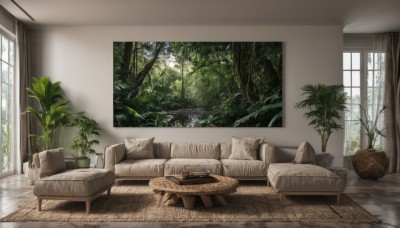 day,indoors,tree,pillow,book,no humans,window,bed,chair,table,sunlight,plant,curtains,nature,scenery,couch,forest,wooden floor,basket,potted plant,cushion,carpet,rug,watermark