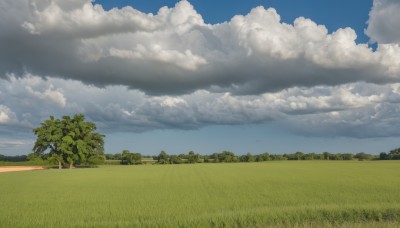 outdoors,sky,day,cloud,tree,blue sky,no humans,cloudy sky,grass,nature,scenery,forest,road,field,landscape,hill