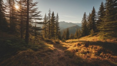 outdoors,sky,day,cloud,tree,blue sky,no humans,grass,nature,scenery,forest,mountain,road,field,bare tree,landscape,pine tree,sunlight,sun