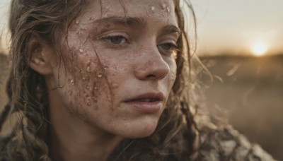 1girl,solo,long hair,looking at viewer,brown hair,brown eyes,braid,parted lips,water,blurry,lips,wet,depth of field,blurry background,sunlight,portrait,close-up,freckles,realistic,nose,dirty,outdoors,sky,teeth,eyelashes,sunset,sun