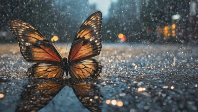 outdoors, wings, blurry, no humans, night, depth of field, animal, bug, building, butterfly, scenery, snow, flying, snowing, city, bokeh, city lights