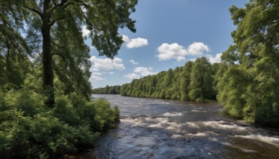 outdoors,sky,day,cloud,water,tree,blue sky,no humans,cloudy sky,grass,nature,scenery,forest,road,bush,landscape,path,plant,river