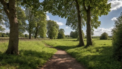 outdoors,sky,day,cloud,tree,blue sky,no humans,shadow,sunlight,cloudy sky,grass,nature,scenery,forest,road,bush,shade,landscape,path,plant,field