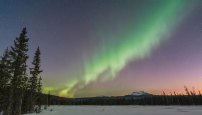 outdoors,sky,cloud,tree,no humans,night,grass,star (sky),nature,night sky,scenery,snow,forest,starry sky,mountain,winter,landscape,pine tree,aurora,signature,sunset,gradient sky