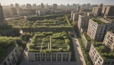 outdoors,sky,day,cloud,tree,no humans,window,building,scenery,city,cityscape,ruins,skyscraper,overgrown,post-apocalypse,real world location