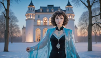 1girl,solo,breasts,looking at viewer,short hair,brown hair,black hair,long sleeves,dress,brown eyes,jewelry,upper body,outdoors,sky,day,necklace,blurry,black eyes,black dress,tree,lips,see-through,blurry background,watermark,building,gem,snow,curly hair,winter,bare tree,hair ornament,cleavage,standing,artist name,mole,wavy hair,realistic