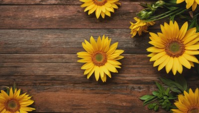 flower,outdoors,no humans,leaf,plant,scenery,wooden floor,yellow flower,sunflower,still life,wood,shadow,wooden table