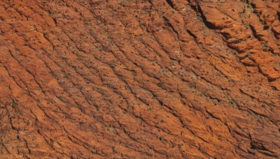 solo,outdoors,tree,no humans,from above,traditional media,nature,scenery,forest,landscape,orange theme,sand,road