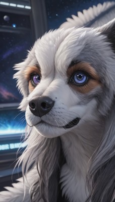 solo,looking at viewer,blue eyes,closed mouth,purple eyes,braid,artist name,indoors,signature,pokemon (creature),no humans,night,animal,cat,portrait,star (sky),close-up,realistic,space,animal focus,white fur,whiskers,fluffy,smile,sky,blurry