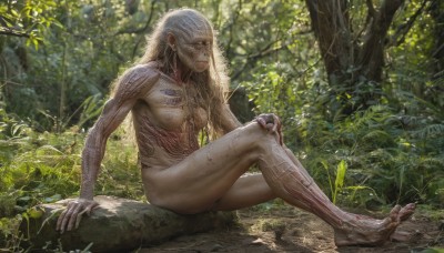 1girl,solo,long hair,breasts,blonde hair,jewelry,medium breasts,sitting,closed mouth,nipples,full body,nude,earrings,outdoors,barefoot,day,feet,tree,tattoo,toes,sunlight,plant,monster girl,nature,forest,science fiction,realistic,hand on own knee,dirty,moss,tribal,dirty feet,1boy,white hair,male focus,bald,old,old man,bodypaint