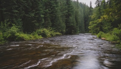 outdoors,day,water,tree,no humans,nature,scenery,forest,road,bush,river,sky,cloud,grass,plant,rock,landscape,shore