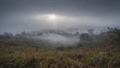 outdoors,sky,day,cloud,tree,no humans,sunlight,cloudy sky,grass,plant,nature,scenery,forest,mountain,field,landscape,fog,grey sky,sun,hill