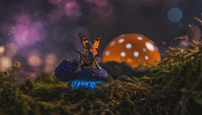 solo,sitting,flower,outdoors,wings,blurry,no humans,night,depth of field,grass,bug,plant,scenery,antennae,mushroom,butterfly wings,1girl,sky,monster girl,butterfly,instrument,star (sky),nature,night sky,starry sky