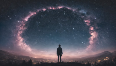 solo, 1boy, standing, male focus, outdoors, sky, from behind, night, grass, star (sky), night sky, scenery, starry sky, milky way