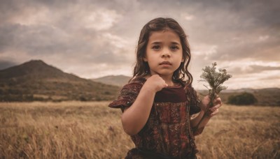 1girl,solo,long hair,looking at viewer,brown hair,dress,holding,brown eyes,upper body,flower,short sleeves,outdoors,sky,day,cloud,blurry,lips,blurry background,cloudy sky,grass,aged down,child,mountain,realistic,holding flower,female child,field,grey sky,fine art parody,wheat