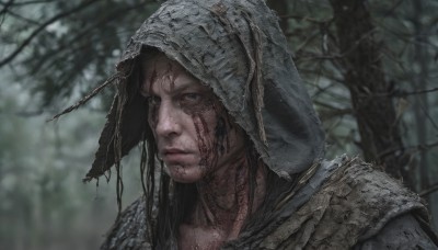 1girl,solo,long hair,looking at viewer,black hair,closed mouth,outdoors,hood,armor,blurry,tree,lips,grey eyes,blurry background,portrait,nature,hood up,forest,realistic,blue eyes,brown hair,1boy,male focus,scar,expressionless