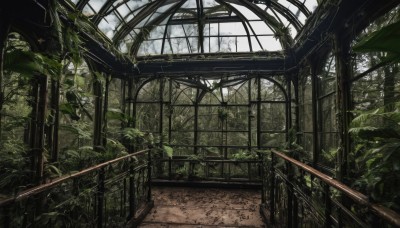 outdoors,day,indoors,tree,dutch angle,no humans,window,leaf,sunlight,plant,nature,scenery,ruins,vines,bridge,moss,overgrown,sky,cloud