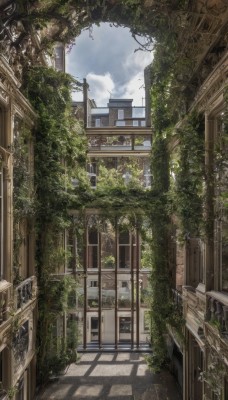 outdoors,sky,day,cloud,tree,blue sky,no humans,window,shadow,sunlight,cloudy sky,plant,building,scenery,stairs,door,railing,ruins,vines,arch,overgrown,broken window,city,house