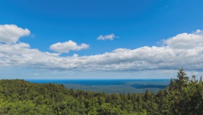 outdoors,sky,day,cloud,water,tree,blue sky,no humans,ocean,cloudy sky,grass,plant,nature,scenery,forest,horizon,summer,landscape,island